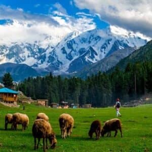 12 Days 11 Nights Fairy Meadows, Skardu Valley & Hunza Valley Tour