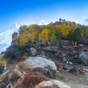10 Days 9 Nights Fairy Meadows, Hunza & Skardu Valley Tour (BY AIR)