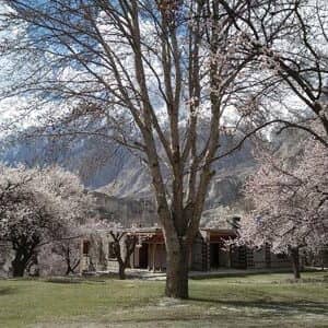 7 Days 6 Nights Hunza, Minapin & Nagar Valley Cherry Blossom Tour