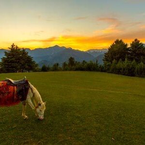 3 Days 2 Nights Murree & Shogran Tour